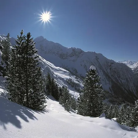 Salvenblick